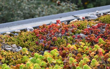 the cost of Nutburn green roof installation