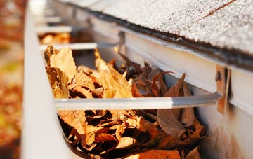 Nutburn gutter cleaning companies