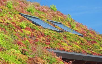 Nutburn living roof systems