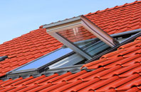 Nutburn roof window
